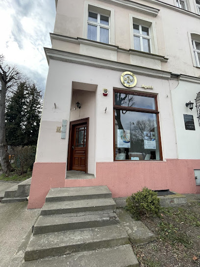 PZU Ubezpieczenia Sopot - Agent Elzbieta Zarowny w Sopot