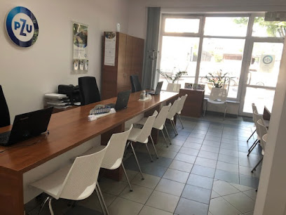 PZU Ubezpieczenia Lowicz - Agent Lucyna Gladka w Lowicz