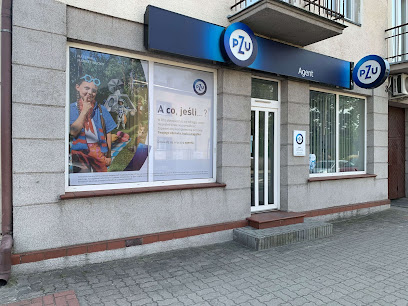 PZU Ubezpieczenia Leszno (Wies) – Agent Agnieszka Dmoch – Leszno