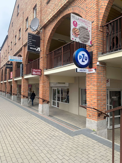 PZU Ubezpieczenia Ostroleka - Agent Pawel Cylwik w Ostroleka