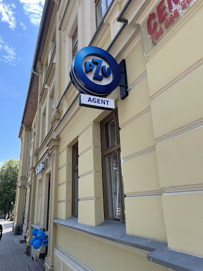 PZU Ubezpieczenia Ketrzyn – Agent Aneta Godek – Ketrzyn