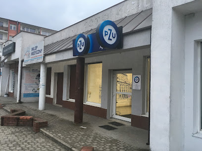 PZU Ubezpieczenia Lodz – Agent Andrzej Wrzalik – Lodz