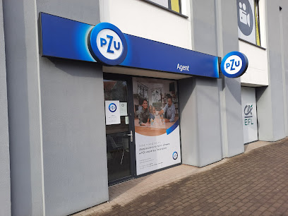 PZU Ubezpieczenia Legnica – Agent Michal Cieslak – Legnica