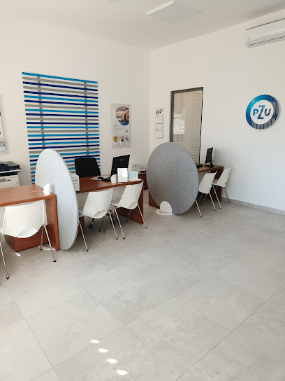 PZU Ubezpieczenia Bydgoszcz - Agent Andrzej Grubczynski w Bydgoszcz