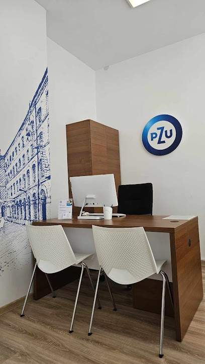 PZU Ubezpieczenia Lodz – Agent Roman Volski – Lodz