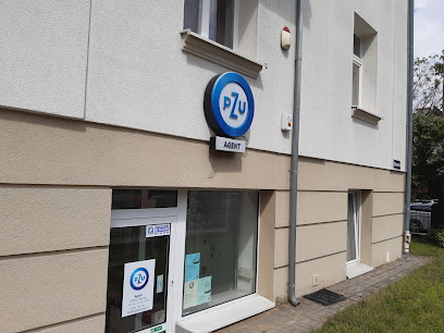 PZU Ubezpieczenia Poznan – Agent Iwona Fatalska – Poznan