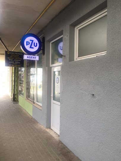 PZU Ubezpieczenia Plock - Agent Martyna Kaluzna w Plock