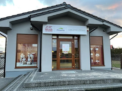 Centrum Ubezpieczen Szymkowiak w Lubasz
