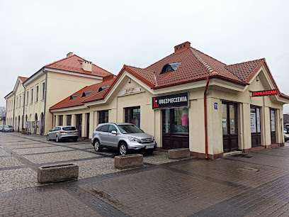 LI Ubezpieczenia Iwona Lato – Lubartow