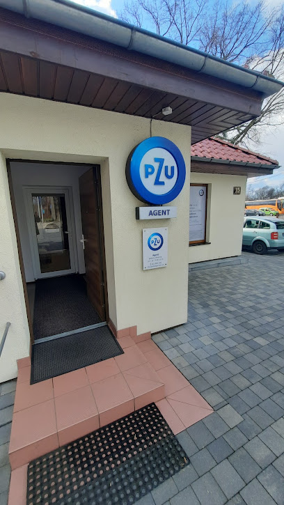 PZU Ubezpieczenia Wolsztyn – Agent Tomasz Bargiel – Wolsztyn
