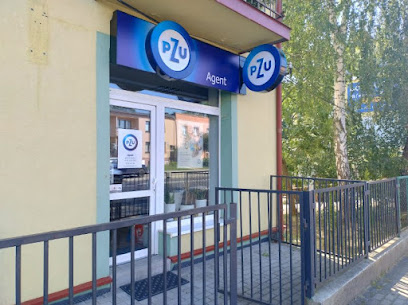 PZU Ubezpieczenia Gorlice – Agent Anna Rubicz – Gorlice