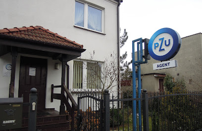 PZU Ubezpieczenia Poznan – Agent Sabina Szymczak – Poznan