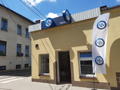 PZU Ubezpieczenia Rawa Mazowiecka – Agent Adrian Szczegielniak – Rawa Mazowiecka