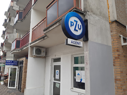 PZU Ubezpieczenia Poznan – Agent Agnieszka Fabis-Rys – Poznan