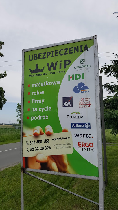 WiP Ubezpieczenia w Pruszcz