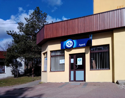 PZU Ubezpieczenia Pruszkow – Agent Justyna Karkowska – Pruszkow