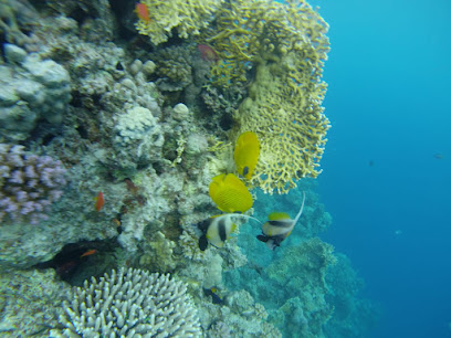 Biuro Turystyczne LUCYNA – Debica