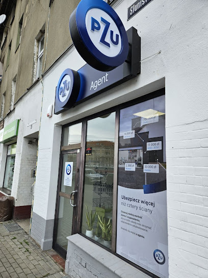 PZU Ubezpieczenia Gliwice - Agent Aleksandra Kryska w Gliwice