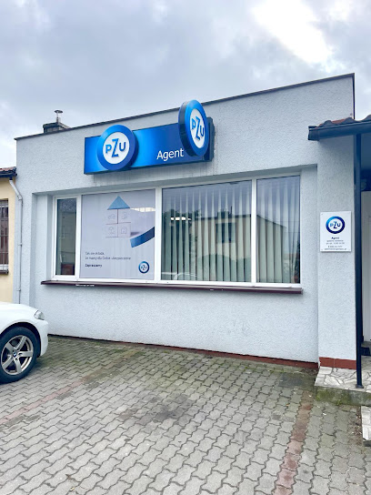 PZU Ubezpieczenia Brodnica - Agent Szymon Perlinski w Brodnica