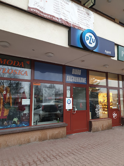 PZU Ubezpieczenia Krakow – Agent Paulina Malacha – Krakow