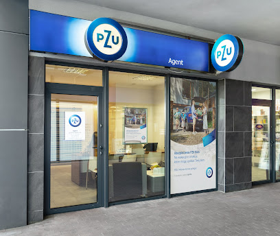 PZU Ubezpieczenia Czestochowa - Agent Agata Olejniczak w Czestochowa
