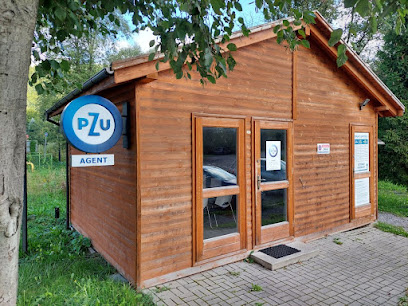 PZU Ubezpieczenia Wisla - Agent Wojciech Wieja w Wisla