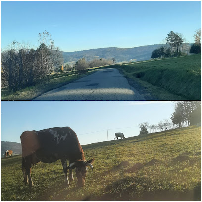 ubezpieczeniarudzki.pl w Krakow