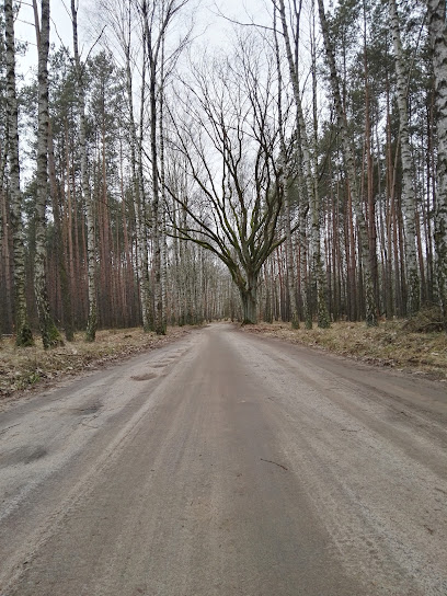 Polisa-Zycie S.A. Towarzystwo Ubezpieczen na Zycie. Przedstawicielstwo w Brodnica