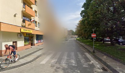 SGU GROUP UBEZPIECZENIA – Brzeg